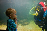 Anglesey Sea Zoo