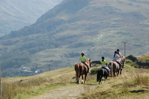 Snowdonia Riding Stables
