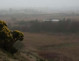 Cors Goch Reserve, North Wales Wildlife Trust