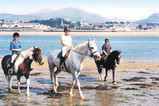 Tal y Foel Riding School 