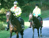 Glydir Stables Glydir Stables