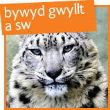 wildlife and zoo